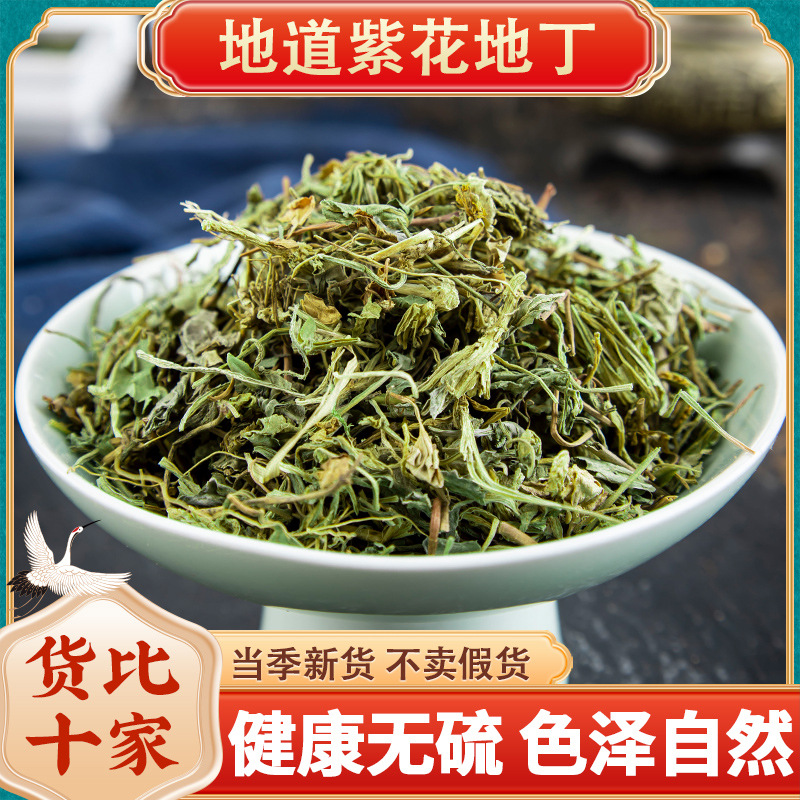 野生紫花地丁中药材500g克新货犁头草地丁草中药材地丁地丁茶泡水