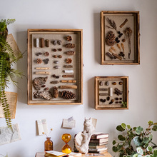 RI0T实木标本相框立体昆虫植物干花diy墙面装饰贝壳展示收纳画框