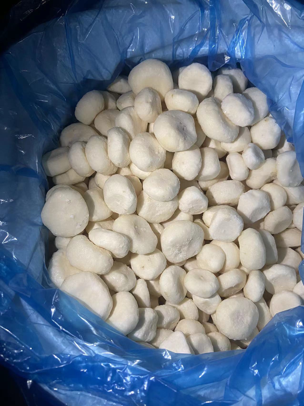 去皮荔浦商用速冻圆马蹄粒马蹄丁整粒酒店餐饮食品农家自种荸荠