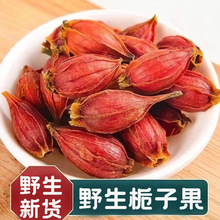 正品野生栀子山栀子新货中药材500g红小栀子茶黄栀子干栀子干姜汤