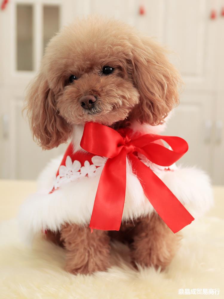 宠物新年衣服 泰迪狗狗秋冬加厚公主名媛大红拜年斗篷装呢子披风