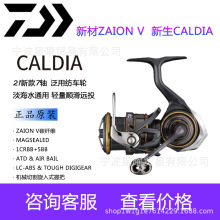 DAIWA 21新款达亿瓦CALDIA LT卡路迪纺车轮轻量远投路亚海钓渔轮