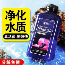 硝化细菌液鱼缸养鱼用净化水质稳定药剂分解鱼便水族消化活菌