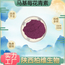 马基莓花青素 马基莓原花青素 马基莓提取物水溶性食品级原料现货