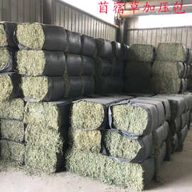 苜蓿草包