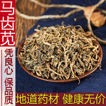 中药材野生特级马齿苋500g克干货马齿苋菜马齿苋泡茶泡澡新货正品