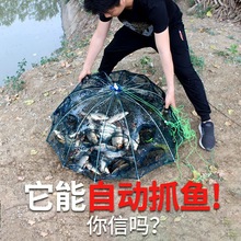 捕鱼渔网鱼网自动折叠螃蟹河加厚抓龙虾渔笼黄鳝虾笼笼捕鱼网花篮