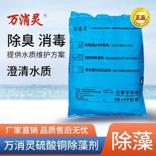 万消灵硫酸铜游泳池除藻剂粉末用清洁水质处理药剂杀菌剂灭藻剂