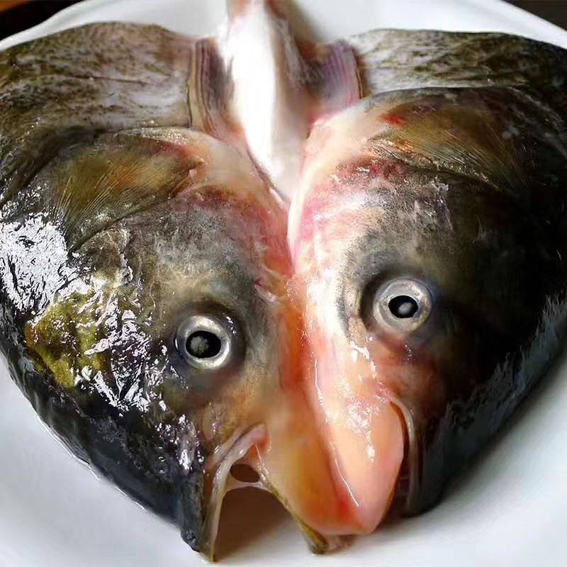 鳙鱼头胖头鱼鲢鱼头剁椒鱼头雄鱼头泡饼食材煲汤花鲢鱼包头鱼头