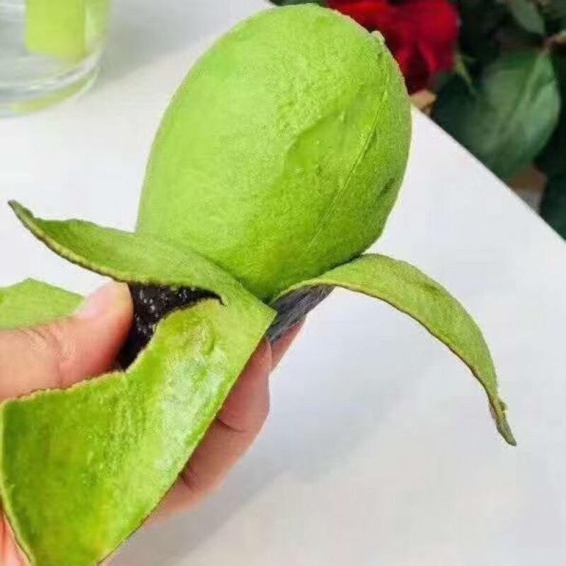 【哈斯034牛油果】长条牛油果优质新鲜牛油果当季热销新鲜果-报价