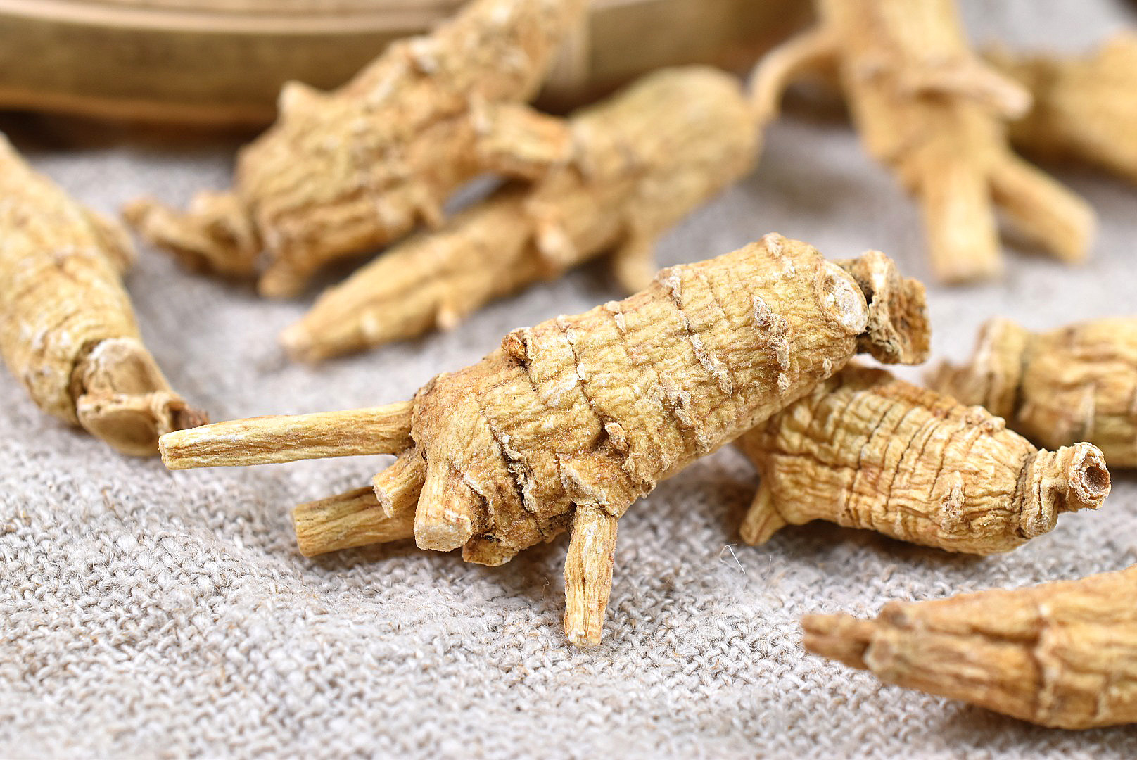 加拿大原丛西洋参 3克5克10克规格齐全 软枝原枝花旗参段整枝粒头