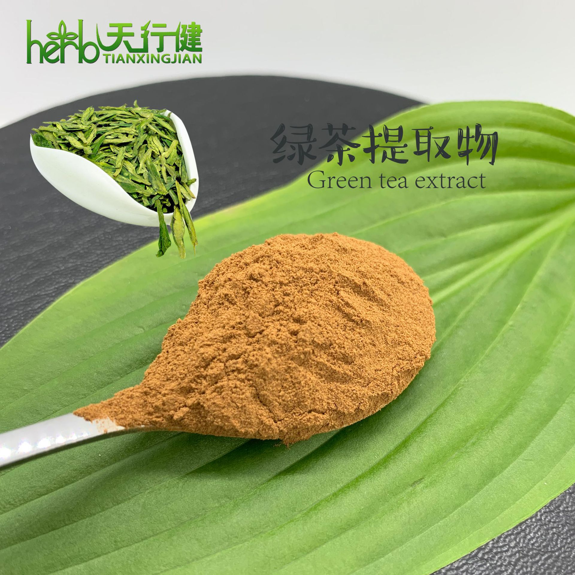 sc厂家天行健生物 绿茶提取物 茶多酚98% 儿茶素80% egcg50%