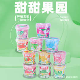 小花农办公室盆栽 植物盆栽教学教具 迷你绿植 厂家批发趣味花盆