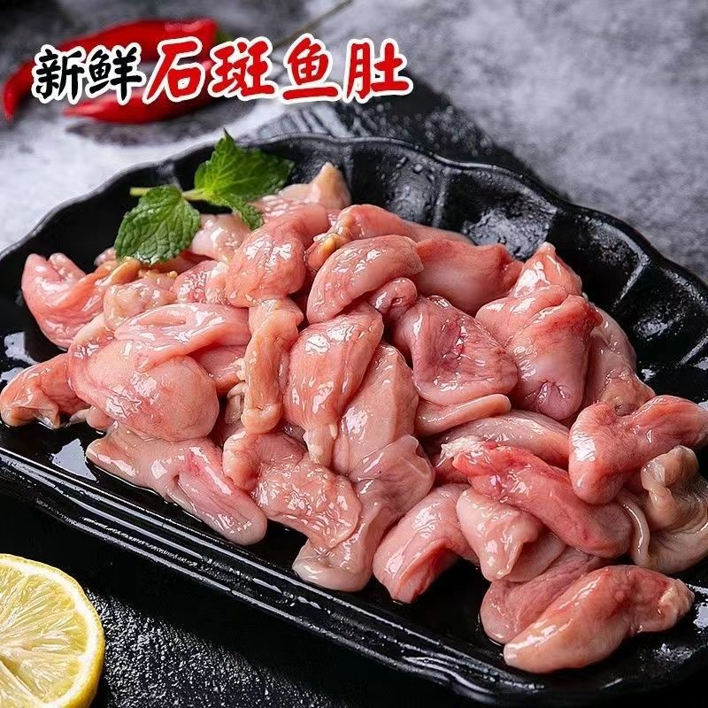 新鲜石斑鱼肚鱼鳔当天现取巴沙鱼肚花胶鱼泡商用批发烧烤火锅食材