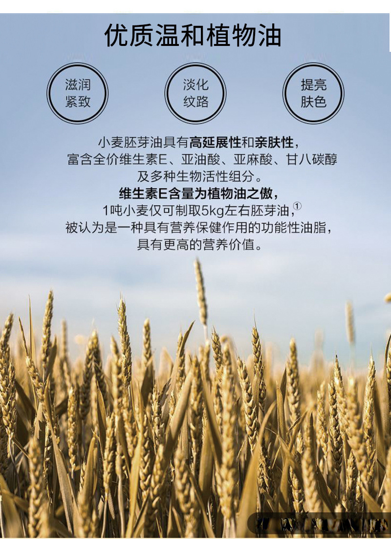 美容院装大瓶小麦胚芽身体spa润肤按摩抗初老养护理基础油1000ml
