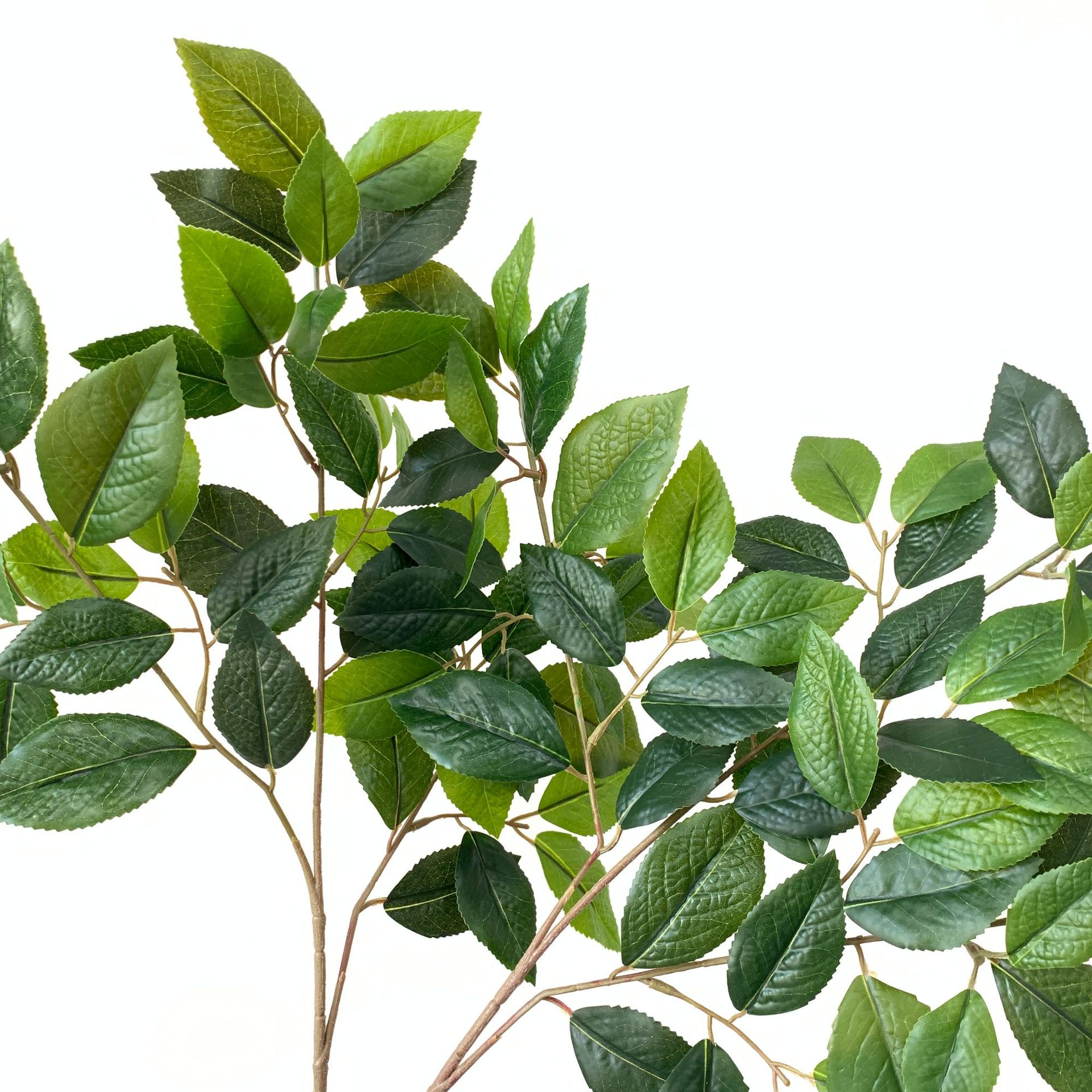 仿真茶树叶茶花叶山茶叶 手感绿色叶子假树枝园林布景