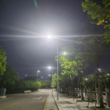 跨境贸易LED市电模组路灯户外道路公路8米10米大功率市政工程灯具