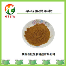 现挖虫草参 地蚕新鲜地参地笋地藕地环泽兰根5斤蔬菜种子山间野菜