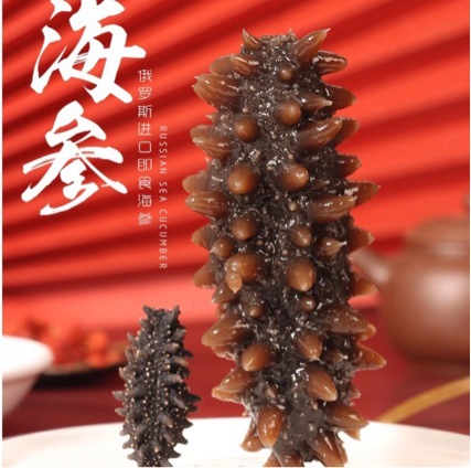 俄罗斯野生海参即食海参批发500克尝鲜装散装顺丰包邮开袋即食
