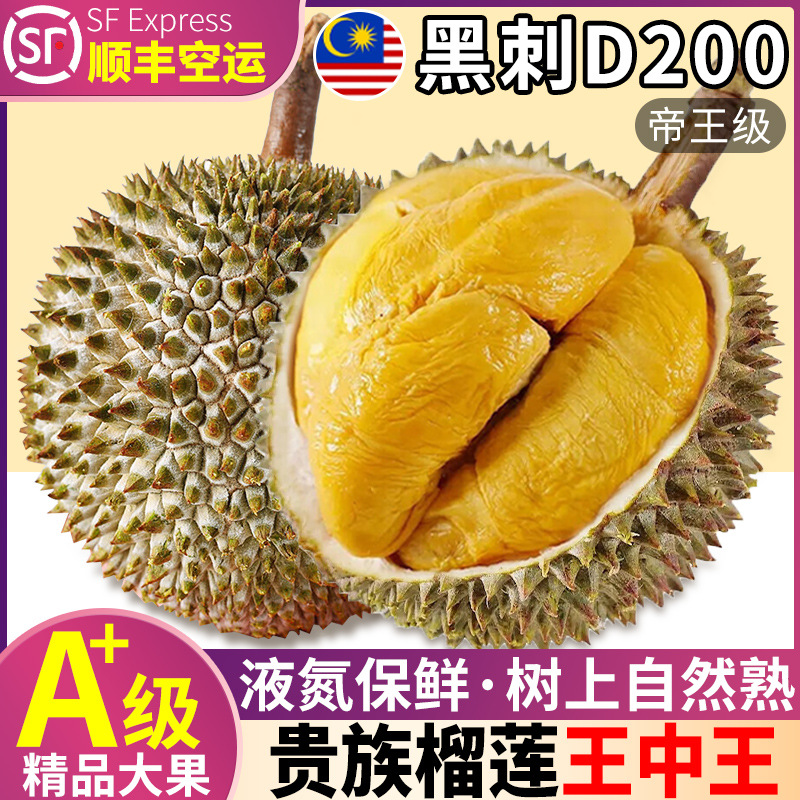 a 级 5斤黑刺榴莲新鲜水果顺丰包邮d200液氮整个马来西亚进口带壳