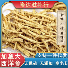 西洋参须 参腿 参丁 断条 加拿大花旗参片段西洋参切片含片500g