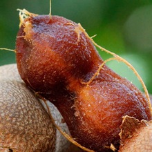 新货云南特产酸角大王酸角甜角新鲜水果罗望子孕妇零食蜜饯200g