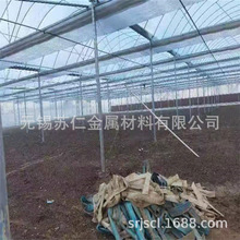 湖南花卉种植农业畜牧养殖大棚骨架  寿光新型连栋温室大棚骨架