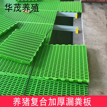 厂家复合材料加厚母猪产床定位栏小猪保育养猪设备猪用漏粪板
