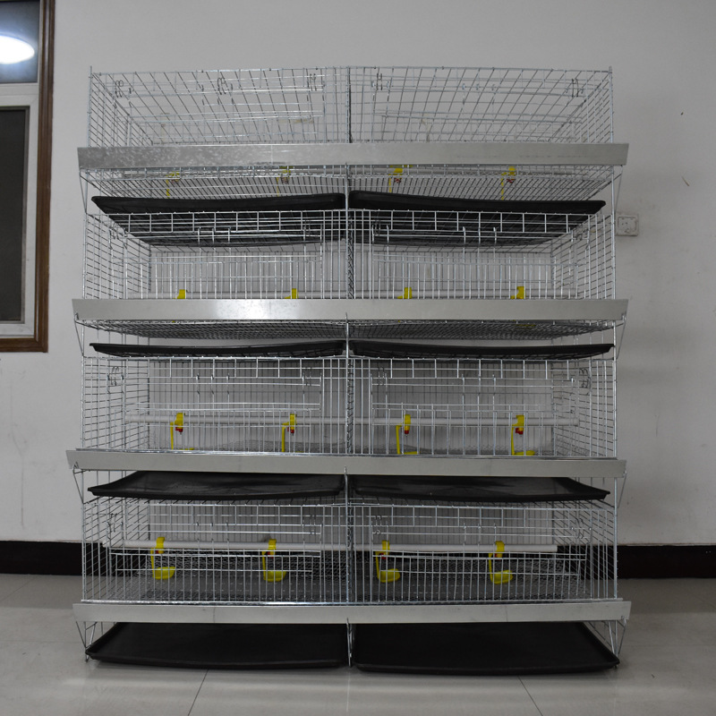 小鸡笼子育雏笼加粗加密养殖笼四层立式一体弹簧门雏鸡笼家用鸡笼