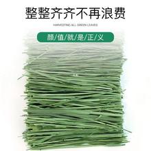 23年优质烘干头茬北提摩西干草切段宠物牧草兔子荷兰猪龙猫豚鼠等