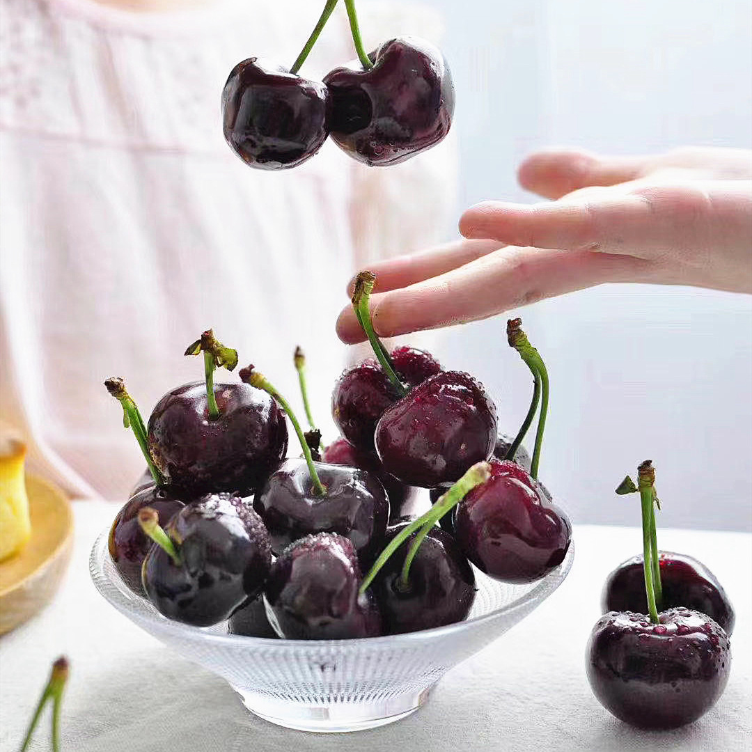 5 kg【产品名称】四川汉源云端大樱桃【商品规格】3斤/4斤【销售周期