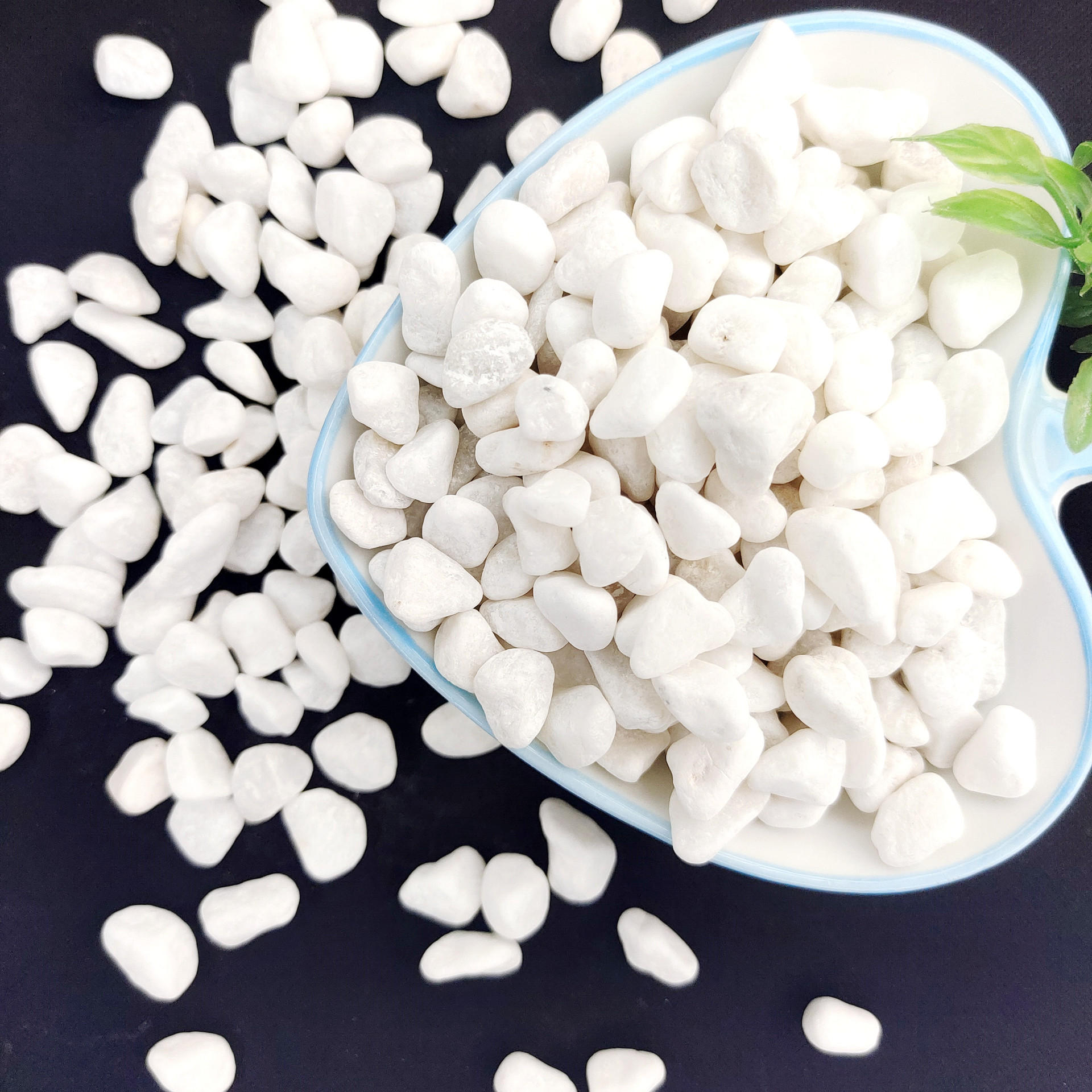 小号装饰纯白鹅卵石白色枯山水小石子园艺盆栽白石头铺面胶粘石批