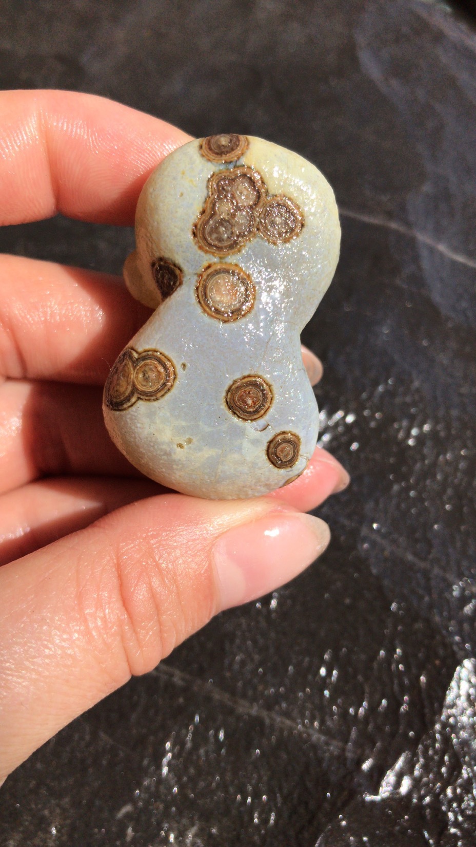 戈壁玛瑙眼睛石