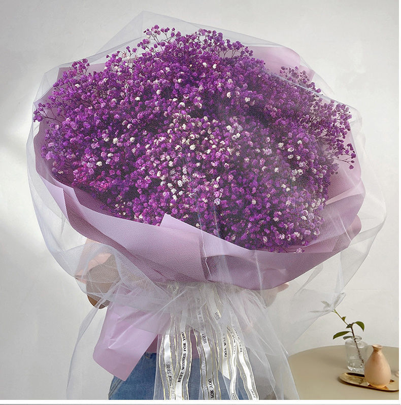 大束粉色满天星【收藏送灯】,大束紫色满天星【收藏送灯】,大束蓝色