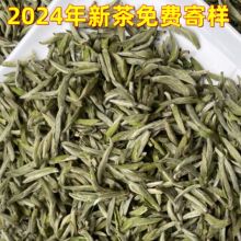 福建2024春茶头采小米芽白毫银针500g毫香蜜韵白毫银针散装批发