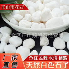 白色鹅卵石雪花白 园林庭院铺路白石子天然路沿石鱼缸石头雨花石