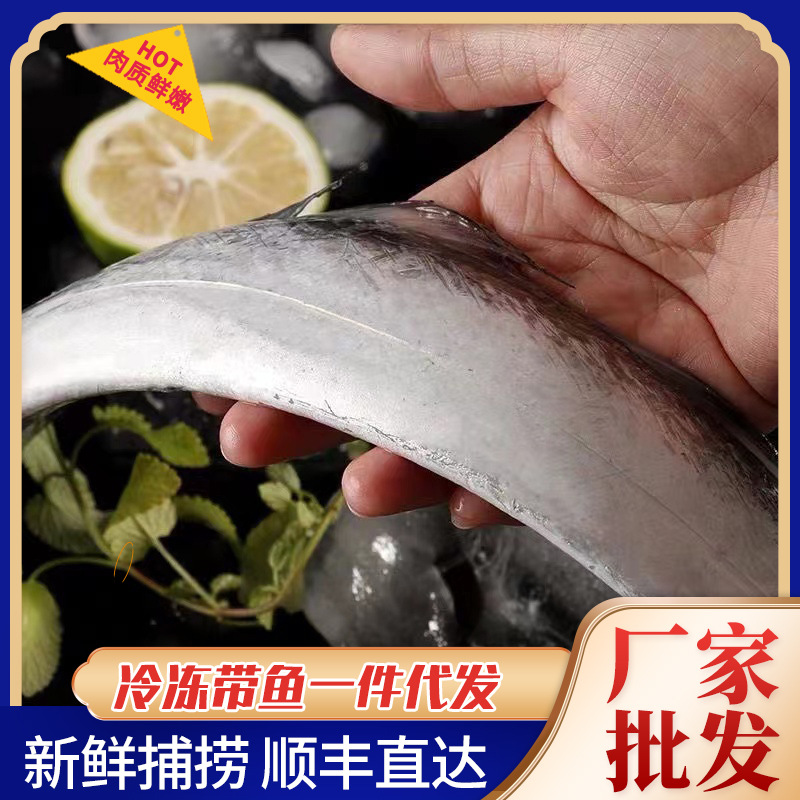 海捕带鱼现捕整条新鲜海鲜鲜活速冻海捕刀鱼整条深海海杂鱼