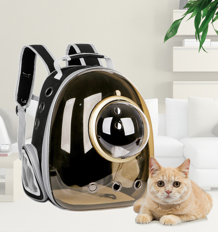 猫包太空舱宠物外出全景透明猫咪兔子便携透气双肩包狗狗背包