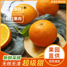 培育新品种甜橙热恋橙盒装送礼现摘现发鲜嫩多汁水果冰糖橙十斤装