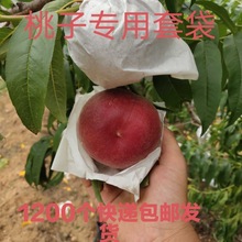 桃子单层套袋专用桃袋黄桃纸袋水蜜桃蟠桃纸袋防虫防雨水透光上色