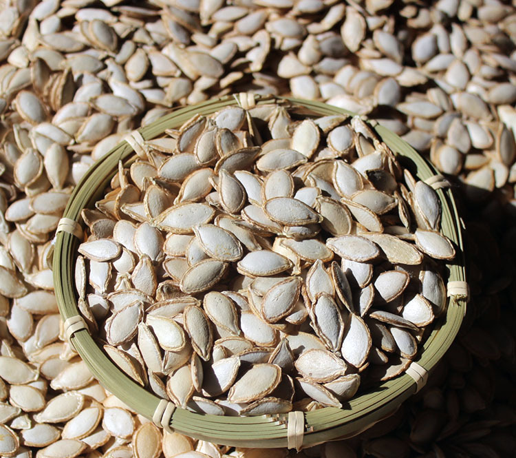 哀牢山老品种生南瓜子籽仁生瓜子原味毛边云南老南瓜籽颗粒饱满