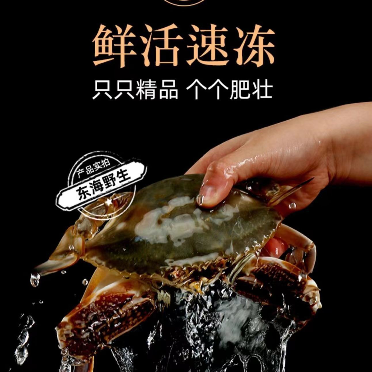 新鲜冷冻公扎蟹鲜活速冻梭子蟹0.5两/只肉质饱满顺丰配送-阿里巴巴