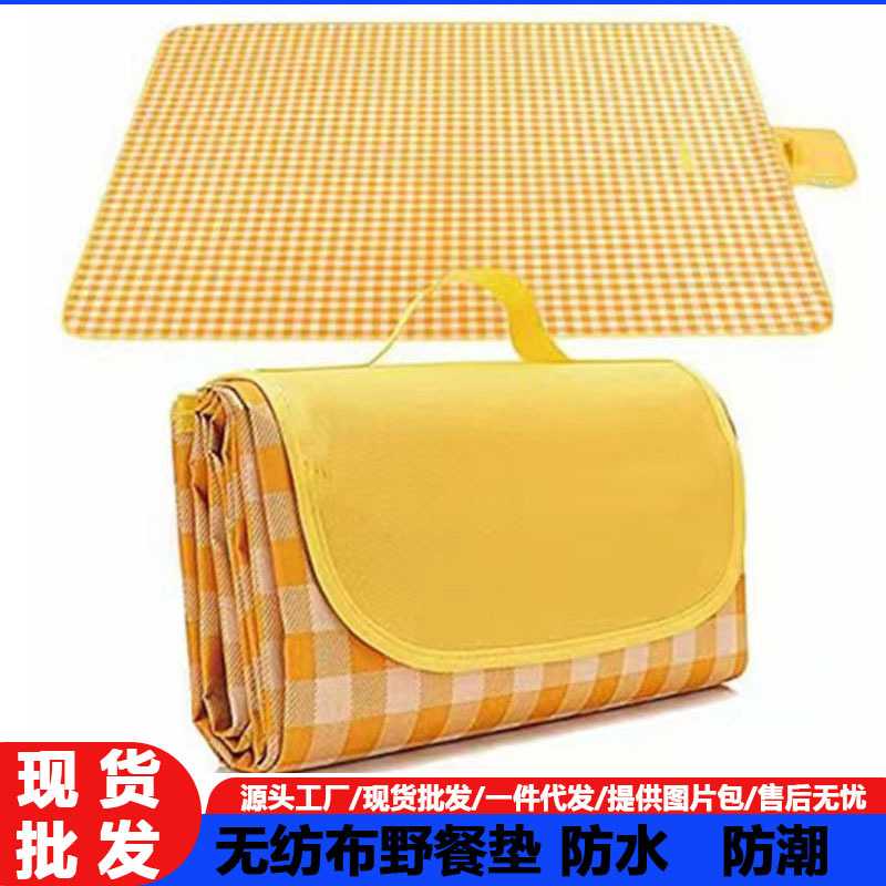 Outdoor Picnic Mat Camping Picnic Moisture Proof Pad Portable Cushion Thickened Waterproof Picnic Blanket Outing Tent Floor Mat