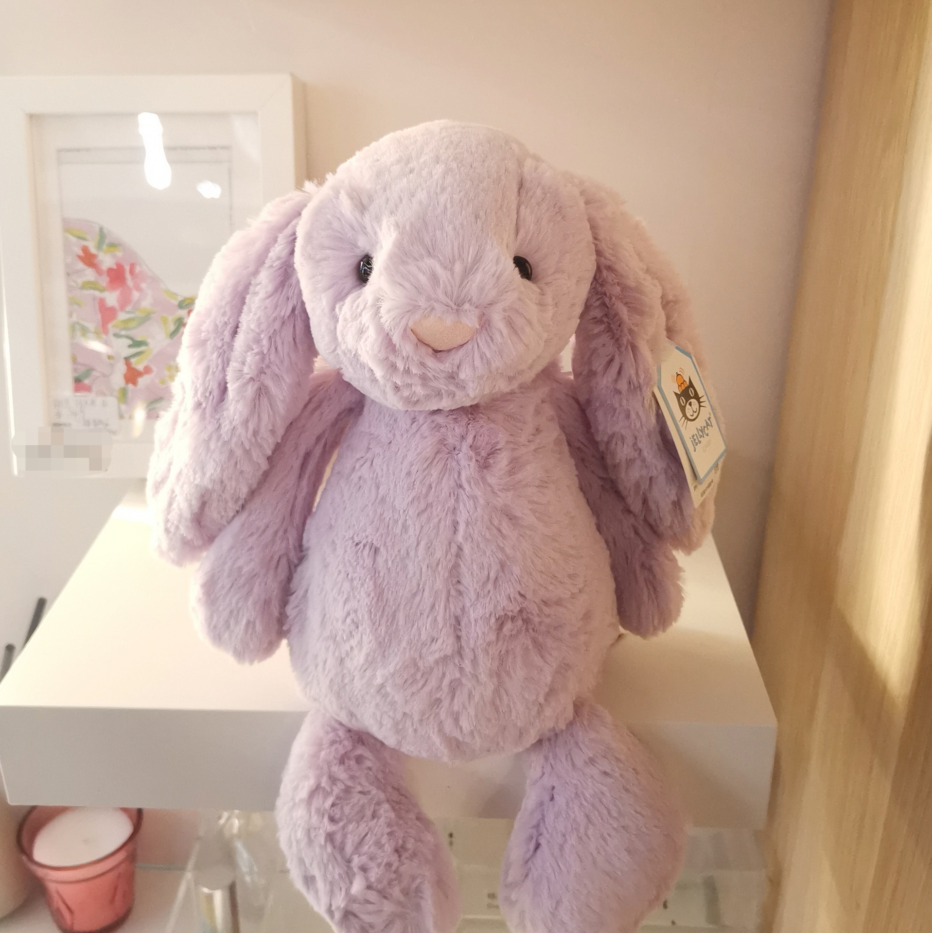 广东柔软兔明星安抚bunny邦尼害羞英国公仔毛绒玩具同款