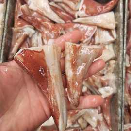 新鲜速冻鱿鱼尾尖鱿鱼尾鱿鱼须新鲜大鱿鱼鱿鱼头章鱼火锅食材批发