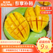 越南进口玉芒热带时令水果特大芒果8斤整箱包邮孕妇生鲜水果
