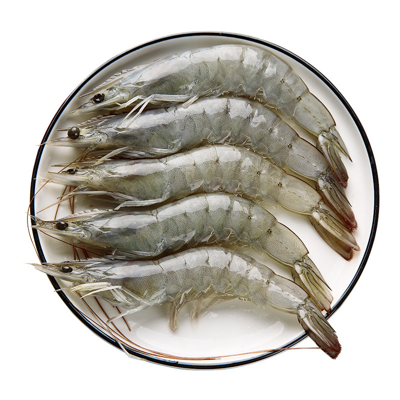 盐冻大虾海虾鲜活冷冻白虾对虾大虾海捕大虾海鲜非基围虾毛重4斤4