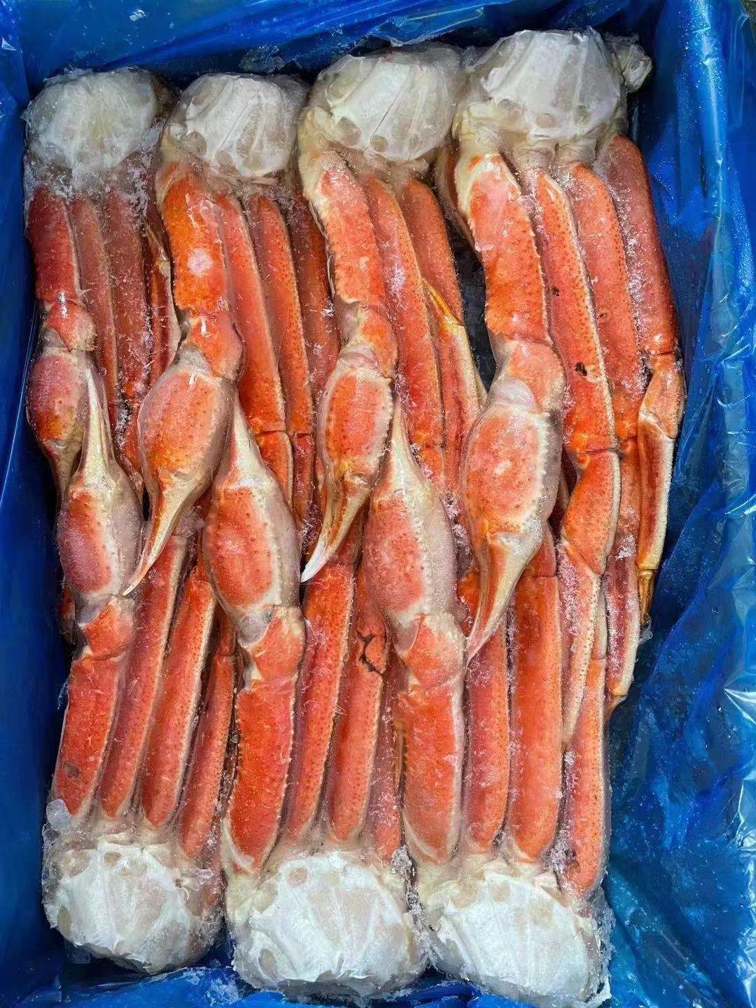 俄罗斯板蟹腿 a级熟冻大板蟹帝王蟹雪蟹腿超靓品质刺生级别板蟹腿