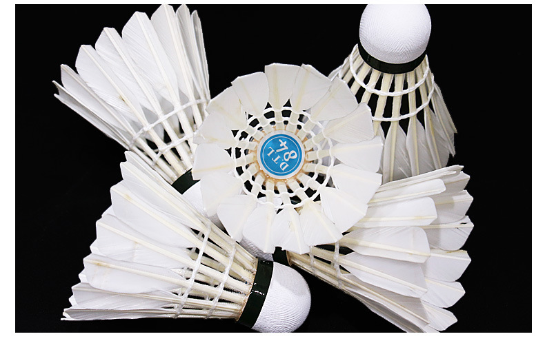 亚狮龙/rsl 大桐利系列羽毛球 dtl-81 82 83 84 85俱乐部训练用球