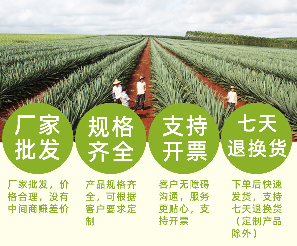 厂家直供 剑麻麻饼麻卷 自然白剑麻纤维,可用于石膏板吊顶和标靶